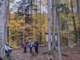 56510170512824026370210154896731812121337569n